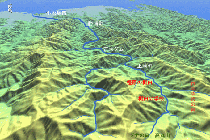 勝浦川流域の鳥瞰図